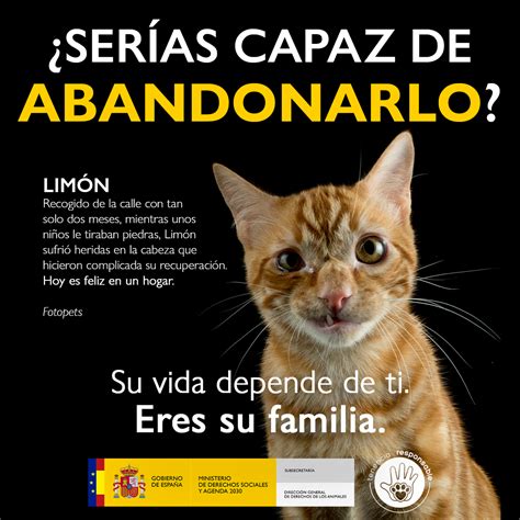 Campaña Contra El Abandono Animal Por Parte Del Gobierno