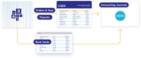 Amazon Xero Integration: How to Set it Up for Accurate Accounting