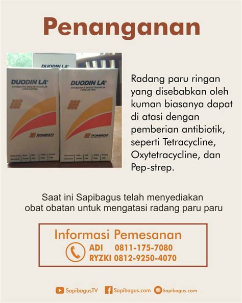 Obat Radang Paru Paru - Homecare24