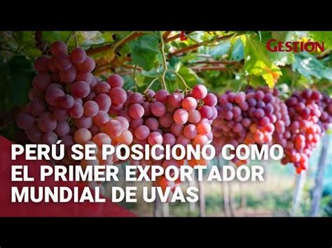 Per Se Posicion Como El Primer Exportador Mundial De Uvas En