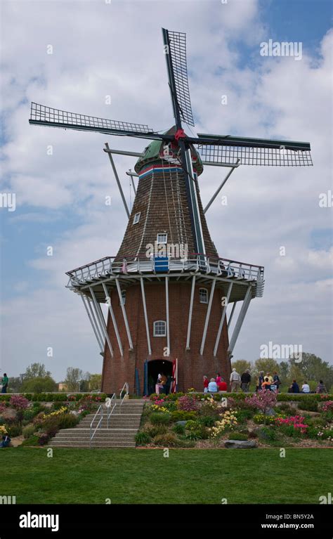 Tulip Time Festival Dutch Holland Michigan In USA De Zwaan An Authentic