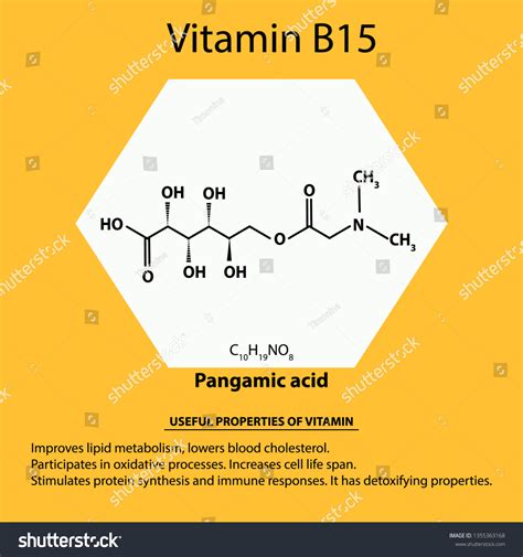 Vitamin B15 Pangamic Acid Molecular Chemical Stock Vector Royalty Free