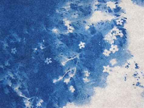 flickriver view images   river