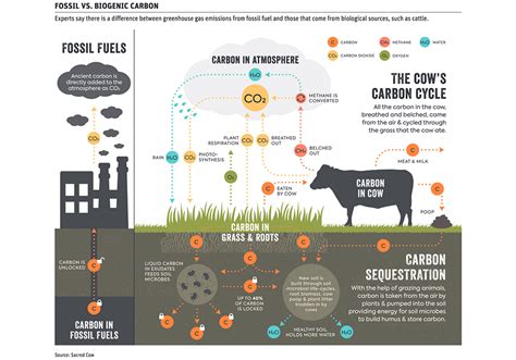 Livestock Emissions Downplayed The Western Producer