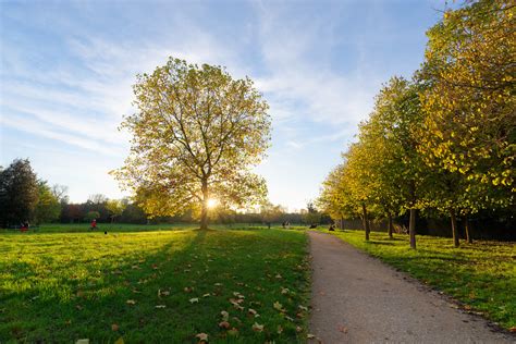 Vincennes Wood Paris Landscapes Website Buy Fine Art Hassan