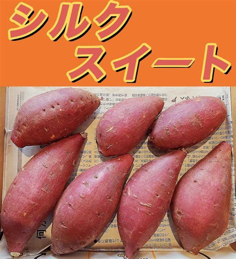 【新品未使用】焼き芋屋さんのさつまいも シルクスイート メルカリ