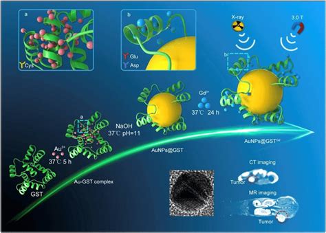 Schematic Illustration Of Gst Mediated Biomimetic Chemistry Of