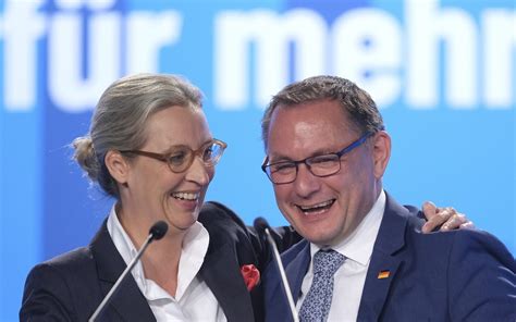 Germans Say Far Right Afd Lacks Legitimacy Even After Its European