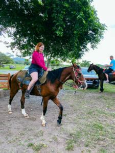 Fazenda Ceita Cor Como O Passeio De Dia Em Bonito Ms