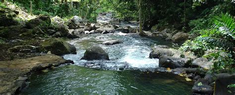 Tinago Falls - Discover The Philippines