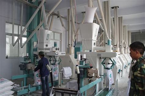 Welcome to Visit Our Wheat Flour Mill Plant