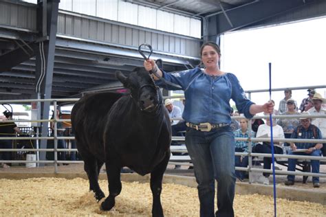 4 Hffa Livestock Sale Buyers Thank You Lincoln County Extension