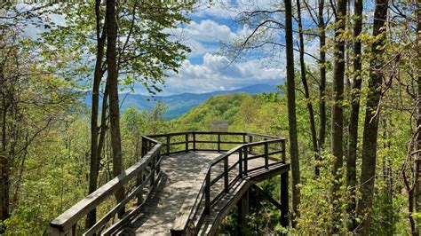 Roan Mountain State Park — Tennessee State Parks