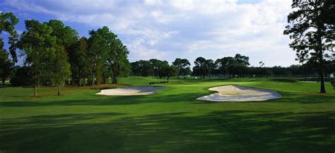 lansbrook golf club, palm harbor, Florida - Golf course information and ...