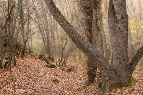 Instantes Fotos De Sebasti N Navarrete Oto O En El Barranco Del R O