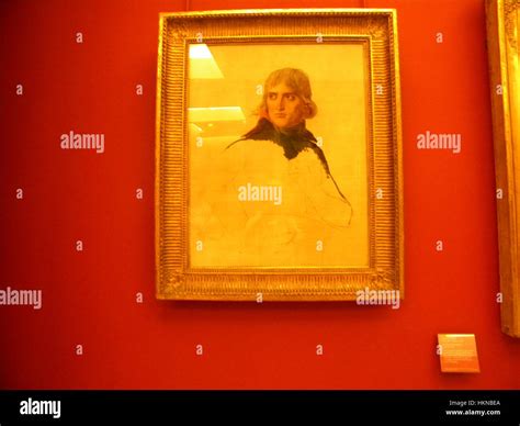 LOUVRE Museum (Napoleon - by David), Paris Stock Photo - Alamy