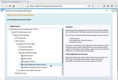 Installing Primary Application Server Pas Instancesap Cloudbest