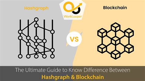 The Ultimate Guide to Know Difference Between Hashgraph vs Blockchain