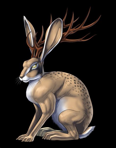 Jackalope Cryptid Animal Digital Art By Nikolay Todorov Pixels