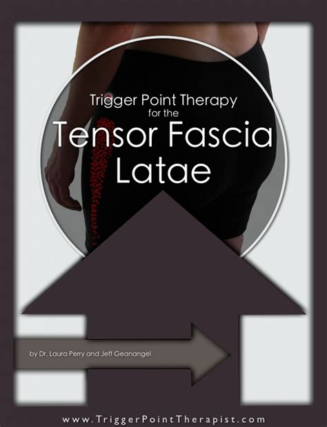 Tensor Fascia Lata Trigger Point in IT Band and Hip Pain Complaints | TriggerPointTherapist.com