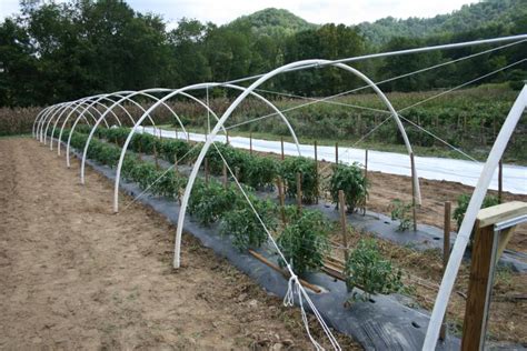 Introduction To High Tunnels EOrganic