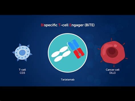 Evaluating Tarlatamab In Recurrent Small Cell Lung Cancer Treatment