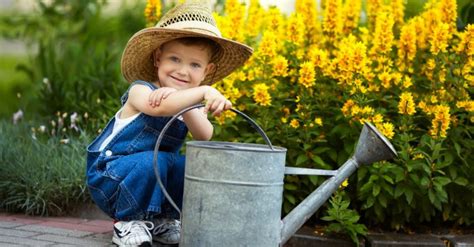 Jardin Quel Est Le Vrai Meilleur Moment De La Journ E Pour Arroser