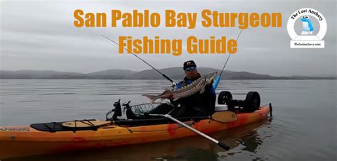 San Pablo Bay Sturgeon Fishing Guide - The Lost Anchovy