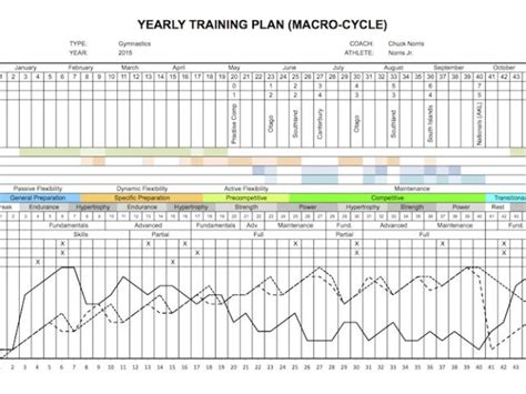 Undulating Periodization Template Periodisation An Overview Acrobatic