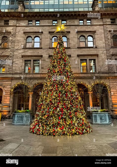 Christmas Tree in front of Lotte New York Palace hotel in New York City ...