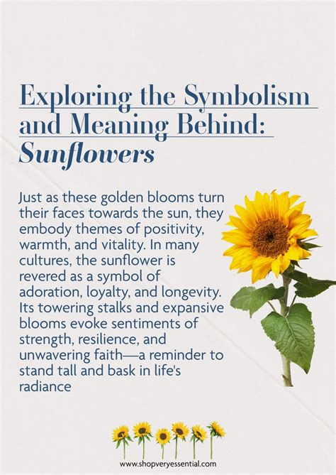 Exploring The Symbolism And Meaning Behind Sunflowers Artofit