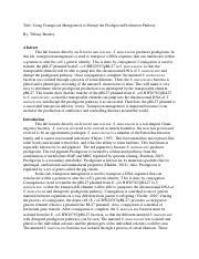 Genetics Lab Report 1 Tiffany Beasley Pdf Title Using Transposon