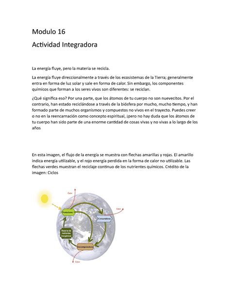 Modulo Integradora Apuntes De Guia Modulo Actividad