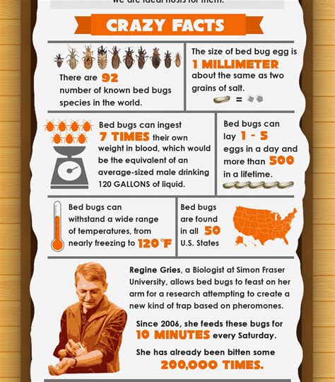 7 Crazy Facts About Bed Bugs Infographic