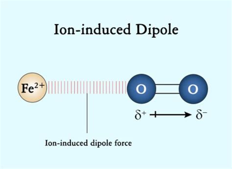 Chem - Ion-dipole forces (the strongest IMFs) Flashcards | Quizlet