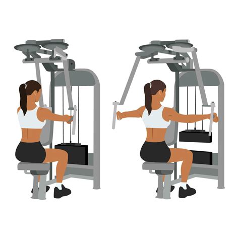 Woman doing rear delt machine flyes exercise. 23686448 Vector Art at Vecteezy