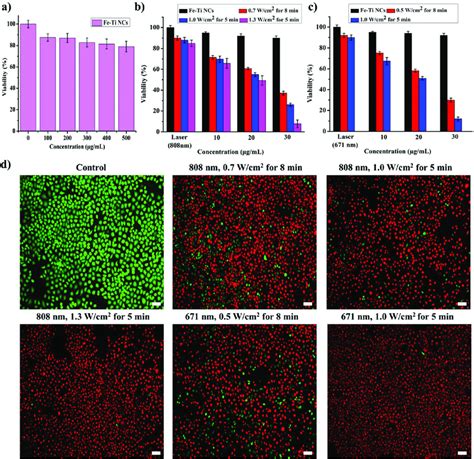 In Vitro Experiments A Relative Viabilities Of MCF 7 Cells Incubated