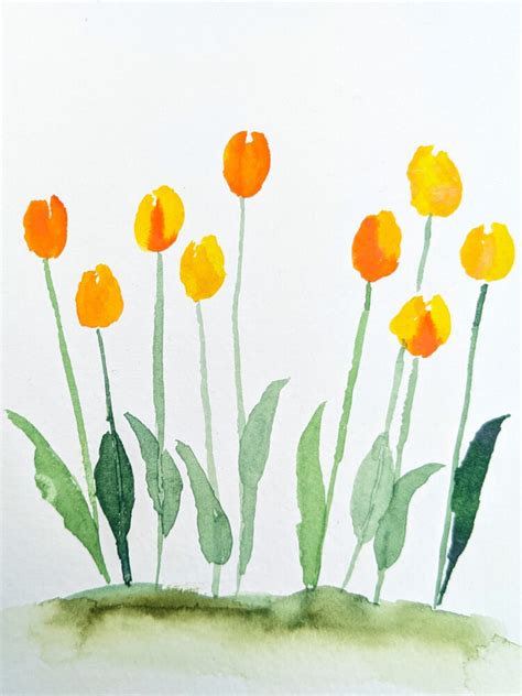 Aquarell Tulpen Malen Drei Anleitungen