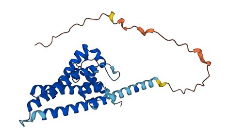 DSM2
