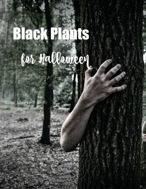 Halloween Plants - 21 Scary Plants to Set A Spooky Mood