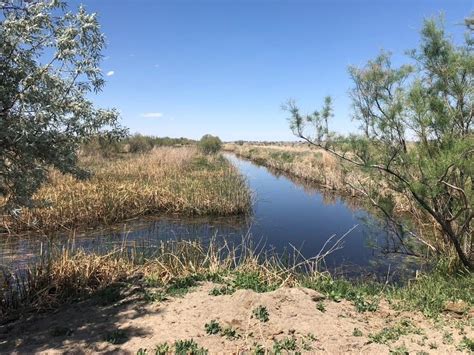 Waterfowl Hunting And Cattle Ranch For Sale In Fallon Nv For Sale In