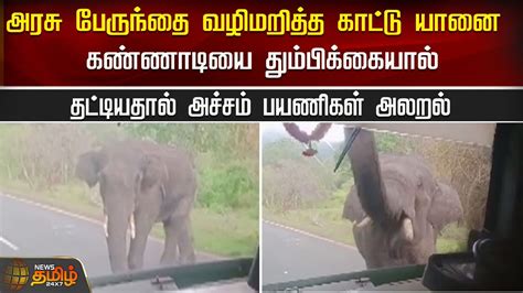 அரசு பேருந்தை வழிமறித்த காட்டு யானை கண்ணாடியை தும்பிக்கையால்