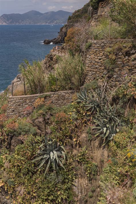 22 Beautiful Riomaggiore Photos - There She Goes Again