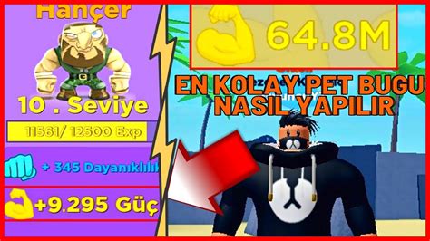 Pet Bugu Nasil Yapilir En Ver Ml Ek Lde Roblox Muscle Legends