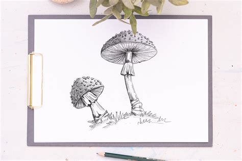 How to Draw A Mushroom (realistic) step by step 🍄