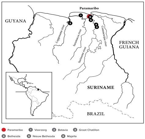 The Impact Of Dutch Colonization On Suriname's Culture And Society - Suriname World Adventure