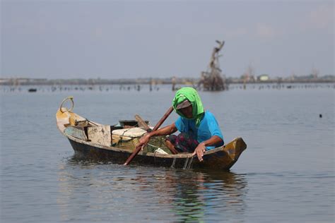 Oceana Fisherfolk Groups Oppose Bfar And The Commercial Fishing Sector