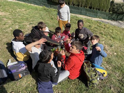 DIJOUS LLARDER Escola La Draga