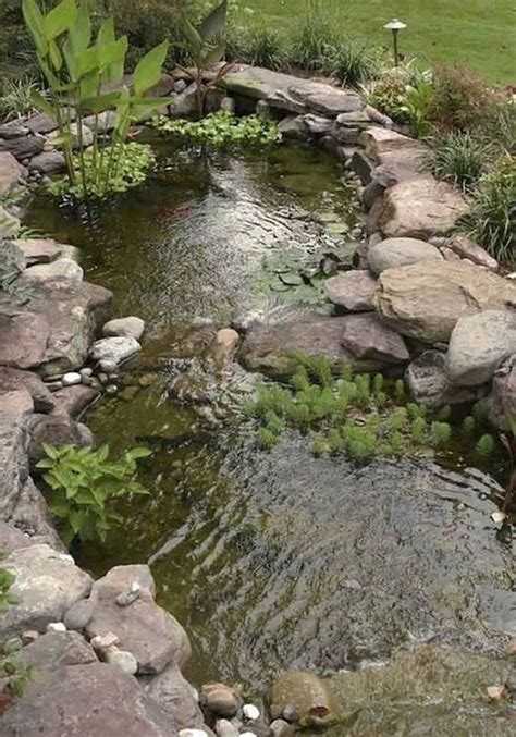 Lagos De Jardim Para Inspira O Projetos Dicas Pr Ticas