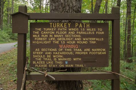 seldom seen: Hiking the Turkey Path